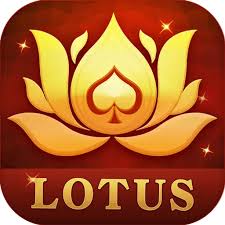 teen patti badi teen patti download
